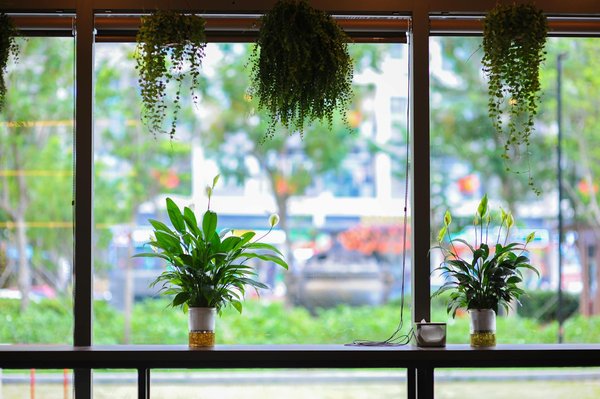 La Magie des Saveurs : L'Art de la Table Fusionnelle